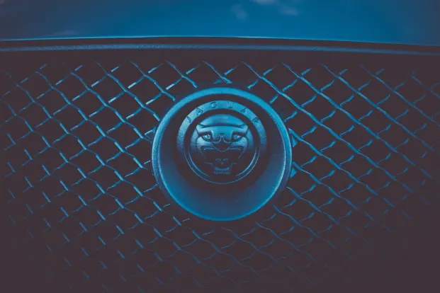 Cleopatra Casino Aip Android/iOS